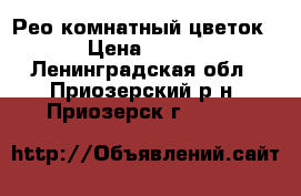 Рео комнатный цветок › Цена ­ 250 - Ленинградская обл., Приозерский р-н, Приозерск г.  »    